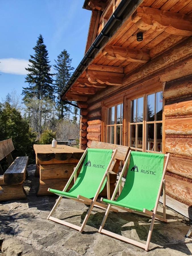 Villa Nydala Rustic à Kościelisko Extérieur photo